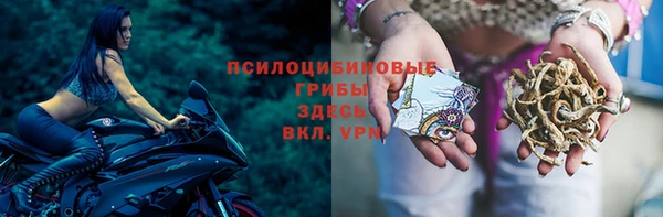 мяу мяу кристалл Бородино