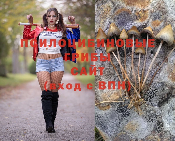 mdpv Бронницы