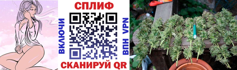 где купить   Ульяновск  Каннабис OG Kush 